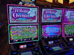 br win 777 bet